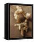 Galangal Root and Two Turmeric Roots-Eising Studio - Food Photo and Video-Framed Stretched Canvas