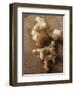 Galangal Root and Two Turmeric Roots-Eising Studio - Food Photo and Video-Framed Photographic Print