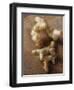 Galangal Root and Two Turmeric Roots-Eising Studio - Food Photo and Video-Framed Photographic Print