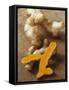 Galangal Root, Turmeric Roots, Whole and with Cut Surface-Eising Studio - Food Photo and Video-Framed Stretched Canvas