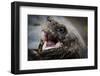 Galapagos, Ecuador, Santa Cruz Island. Giant Galapagos Tortoise Head-Mark Williford-Framed Photographic Print