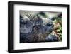 Galapagos, Ecuador, Santa Cruz Island. Marine Iguana and Succulents-Mark Williford-Framed Photographic Print