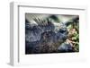 Galapagos, Ecuador, Santa Cruz Island. Marine Iguana and Succulents-Mark Williford-Framed Photographic Print