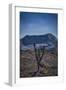 Galapagos, Ecuador, Sierra Negra. Volcan Chico and Candelabra Cactus-Mark Williford-Framed Photographic Print