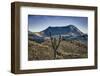 Galapagos, Ecuador, Sierra Negra. Volcan Chico and Candelabra Cactus-Mark Williford-Framed Photographic Print