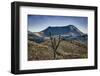 Galapagos, Ecuador, Sierra Negra. Volcan Chico and Candelabra Cactus-Mark Williford-Framed Photographic Print