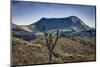 Galapagos, Ecuador, Sierra Negra. Volcan Chico and Candelabra Cactus-Mark Williford-Mounted Photographic Print