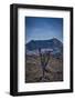 Galapagos, Ecuador, Sierra Negra. Volcan Chico and Candelabra Cactus-Mark Williford-Framed Photographic Print