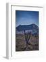 Galapagos, Ecuador, Sierra Negra. Volcan Chico and Candelabra Cactus-Mark Williford-Framed Photographic Print