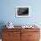 Galapagos Fur Seal, Galapagos Islands, Ecuador-Pete Oxford-Framed Photographic Print displayed on a wall