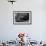 Galapagos Fur Seal, Galapagos Islands, Ecuador-Pete Oxford-Framed Photographic Print displayed on a wall