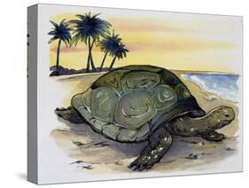 Galapagos Giant Tortoise (Geochelone Elephantopus), Testudinidae-null-Stretched Canvas