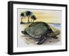 Galapagos Giant Tortoise (Geochelone Elephantopus), Testudinidae-null-Framed Giclee Print