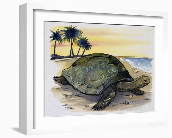 Galapagos Giant Tortoise (Geochelone Elephantopus), Testudinidae-null-Framed Giclee Print