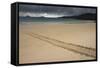 Galapagos Green Sea Turtle Tracks. Floreana Island, Galapagos, Ecuador-Pete Oxford-Framed Stretched Canvas