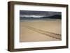 Galapagos Green Sea Turtle Tracks. Floreana Island, Galapagos, Ecuador-Pete Oxford-Framed Photographic Print