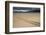 Galapagos Green Sea Turtle Tracks. Floreana Island, Galapagos, Ecuador-Pete Oxford-Framed Photographic Print