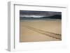 Galapagos Green Sea Turtle Tracks. Floreana Island, Galapagos, Ecuador-Pete Oxford-Framed Photographic Print