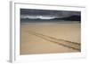 Galapagos Green Sea Turtle Tracks. Floreana Island, Galapagos, Ecuador-Pete Oxford-Framed Photographic Print