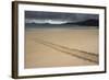 Galapagos Green Sea Turtle Tracks. Floreana Island, Galapagos, Ecuador-Pete Oxford-Framed Photographic Print