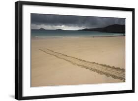 Galapagos Green Sea Turtle Tracks. Floreana Island, Galapagos, Ecuador-Pete Oxford-Framed Photographic Print