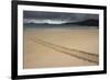 Galapagos Green Sea Turtle Tracks. Floreana Island, Galapagos, Ecuador-Pete Oxford-Framed Photographic Print