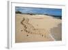 Galapagos Green Sea Turtle Tracks. las Bachas, Galapagos, Ecuador-Pete Oxford-Framed Photographic Print