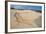 Galapagos Green Sea Turtle Tracks. las Bachas, Galapagos, Ecuador-Pete Oxford-Framed Photographic Print