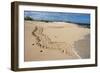 Galapagos Green Sea Turtle Tracks. las Bachas, Galapagos, Ecuador-Pete Oxford-Framed Photographic Print