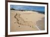 Galapagos Green Sea Turtle Tracks. las Bachas, Galapagos, Ecuador-Pete Oxford-Framed Photographic Print