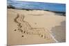 Galapagos Green Sea Turtle Tracks. las Bachas, Galapagos, Ecuador-Pete Oxford-Mounted Photographic Print