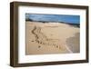 Galapagos Green Sea Turtle Tracks. las Bachas, Galapagos, Ecuador-Pete Oxford-Framed Photographic Print