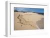 Galapagos Green Sea Turtle Tracks. las Bachas, Galapagos, Ecuador-Pete Oxford-Framed Photographic Print