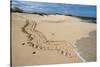 Galapagos Green Sea Turtle Tracks. las Bachas, Galapagos, Ecuador-Pete Oxford-Stretched Canvas