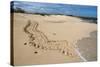 Galapagos Green Sea Turtle Tracks. las Bachas, Galapagos, Ecuador-Pete Oxford-Stretched Canvas