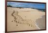 Galapagos Green Sea Turtle Tracks. las Bachas, Galapagos, Ecuador-Pete Oxford-Framed Photographic Print