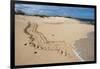 Galapagos Green Sea Turtle Tracks. las Bachas, Galapagos, Ecuador-Pete Oxford-Framed Photographic Print