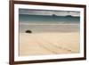 Galapagos Green Turtle Nesting. Floreana Island, Galapagos, Ecuador-Pete Oxford-Framed Photographic Print