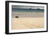 Galapagos Green Turtle Nesting. Floreana Island, Galapagos, Ecuador-Pete Oxford-Framed Photographic Print