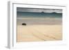 Galapagos Green Turtle Nesting. Floreana Island, Galapagos, Ecuador-Pete Oxford-Framed Photographic Print