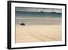 Galapagos Green Turtle Nesting. Floreana Island, Galapagos, Ecuador-Pete Oxford-Framed Photographic Print