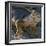 Galapagos Islands, a Land Iguana on South Plaza Island-Nigel Pavitt-Framed Premium Photographic Print