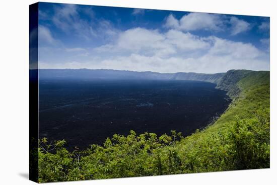 Galapagos Islands, Ecuador, Isabela Island, Sierra Negra-Mark Williford-Stretched Canvas