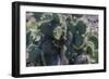 Galapagos Islands, Ecuador. Santa Cruz Island. Prickly-Pear Cactus-Mark Williford-Framed Photographic Print