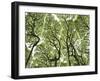 Galapagos Islands, Ecuador-Karine Aigner-Framed Premium Photographic Print