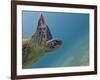 Galapagos Islands, Ecuador-Karine Aigner-Framed Photographic Print