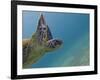 Galapagos Islands, Ecuador-Karine Aigner-Framed Photographic Print