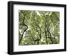 Galapagos Islands, Ecuador-Karine Aigner-Framed Photographic Print