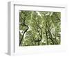 Galapagos Islands, Ecuador-Karine Aigner-Framed Photographic Print