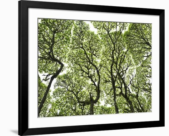 Galapagos Islands, Ecuador-Karine Aigner-Framed Photographic Print